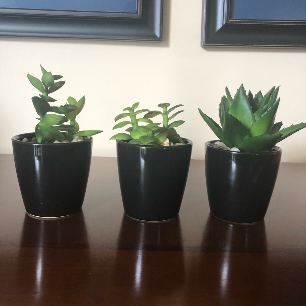 Mini Faux Succulent Trio